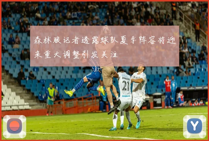 森林狼记者透露球队夏季阵容将迎来重大调整引发关注