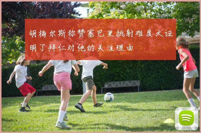 胡梅尔斯称赞塞巴里挑射难度大证明了拜仁对他的关注理由