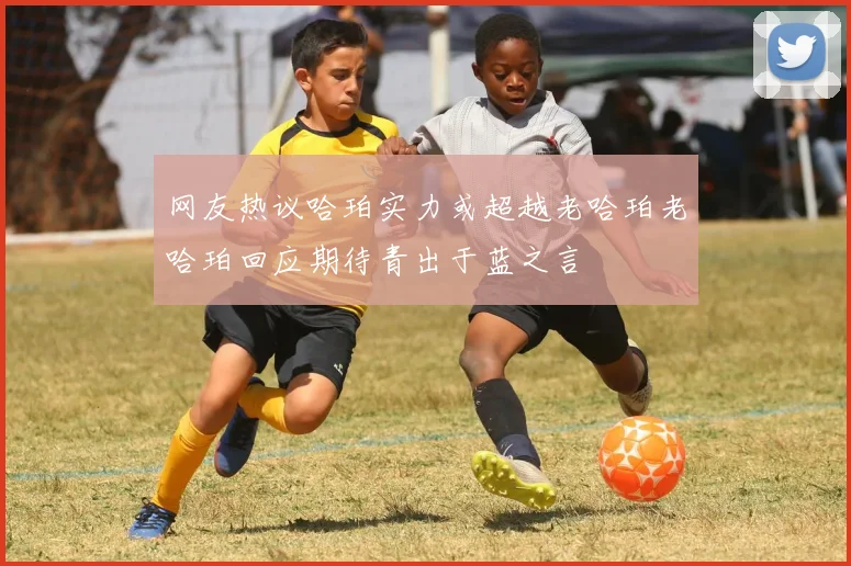 网友热议哈珀实力或超越老哈珀老哈珀回应期待青出于蓝之言